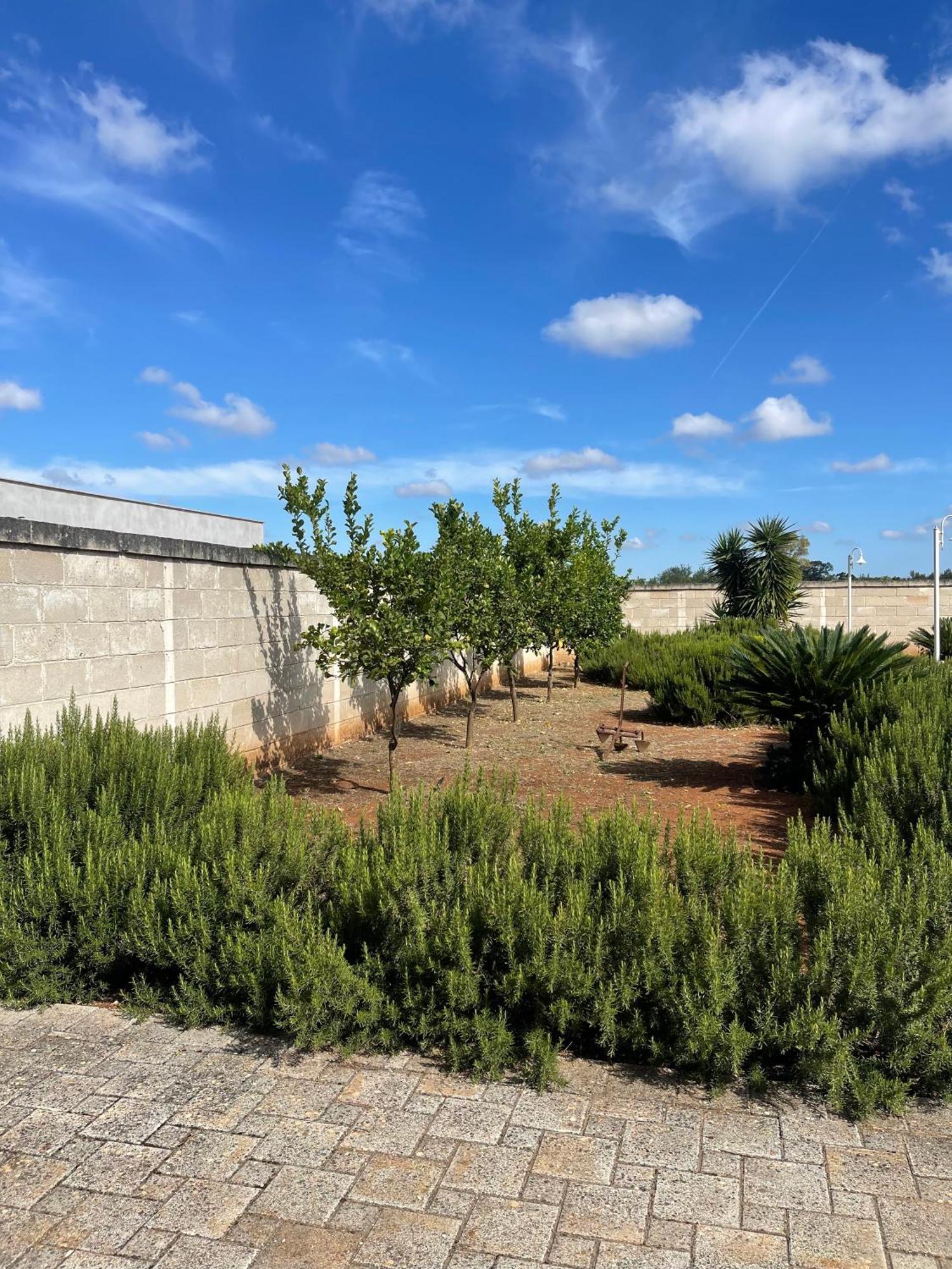 Masseria Don Bonifacio Castellana Grotte Exterior foto
